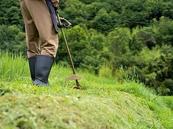 福岡県で草刈りのご依頼いただきました